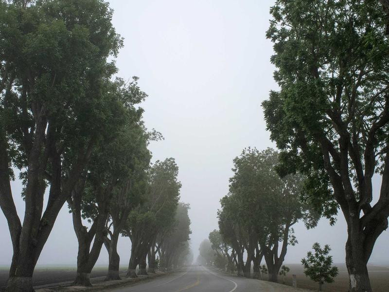 Honda PCX 160 2022 Hitam