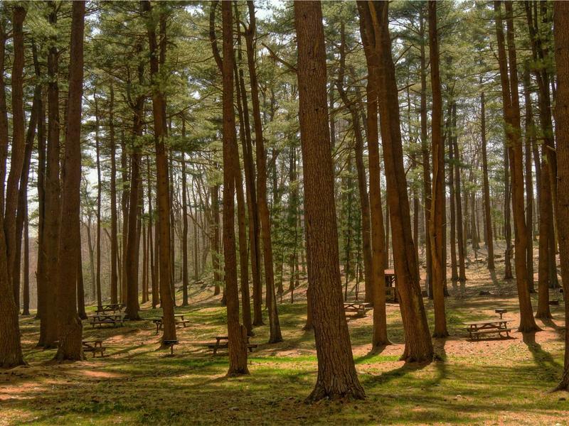 Mitsubishi Pajero Sport Exceed 2017